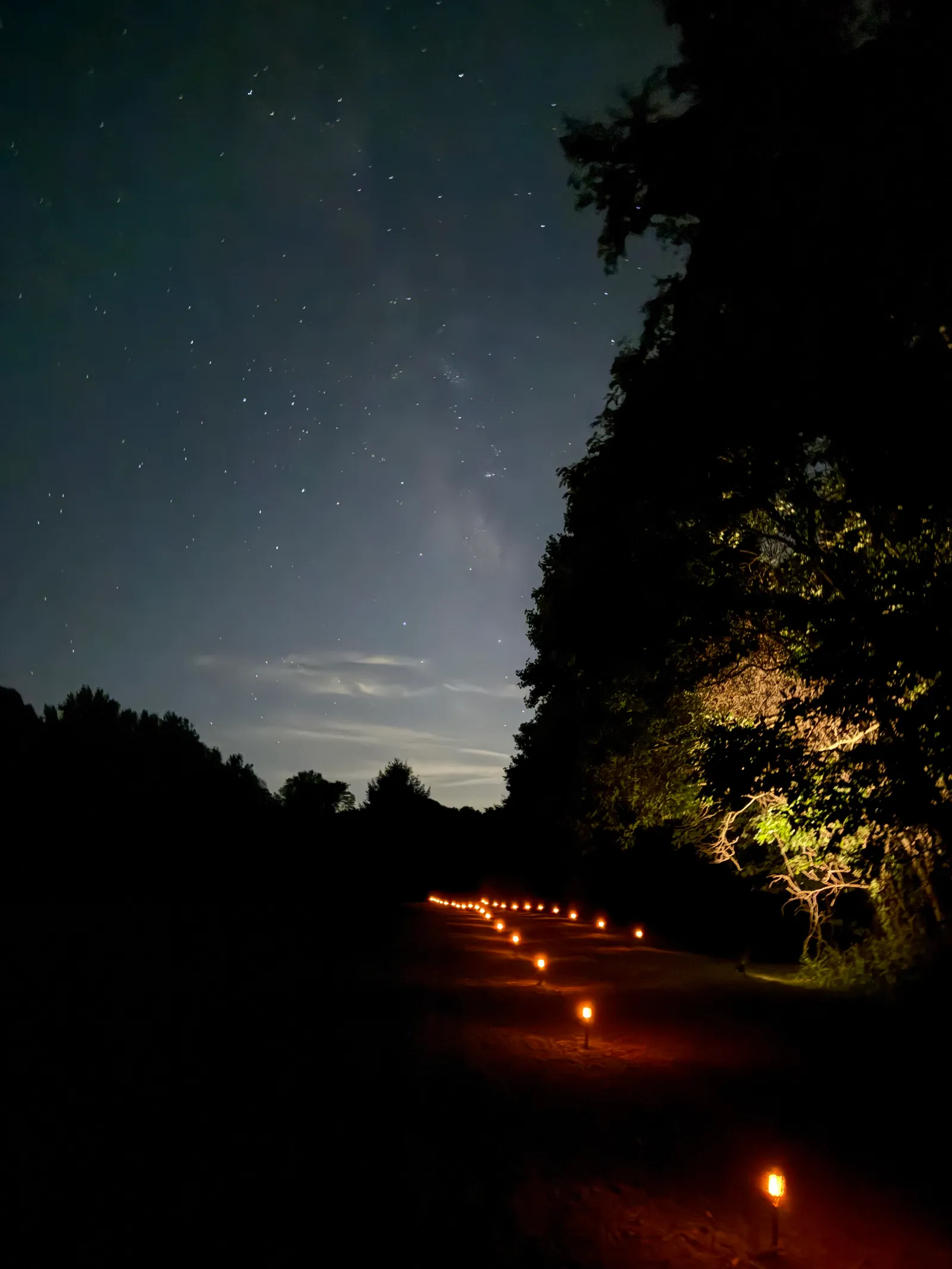 The Enchanted Cottage — image 11 of 11